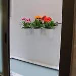 Un Sogno Cosi